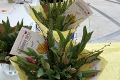 Beneficni-prodej-tulipanu-v-Galerii-Santovka-4-rotated