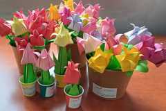IMG-20250224-WA0007