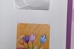 IMG_20250227_142709