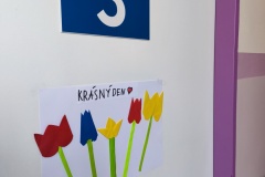 IMG_20250227_142827