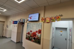 image6