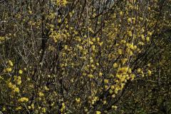 stazeny-soubor-11