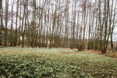 1_stazeny-soubor-8