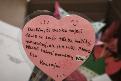 IMG_20260211_093937