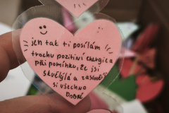 IMG_20260211_093946