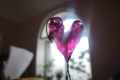 IMG_20260226_155306