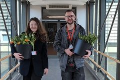 Tulipany_v_MOU