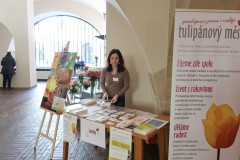 Tulipánový měsíc - výstava tulipánů pro Amelii v Karolinu