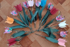 IMG_20240221_154423645