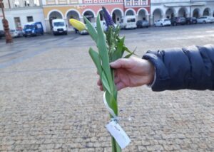 OC Forum rozdávání tulipánů MDŽ