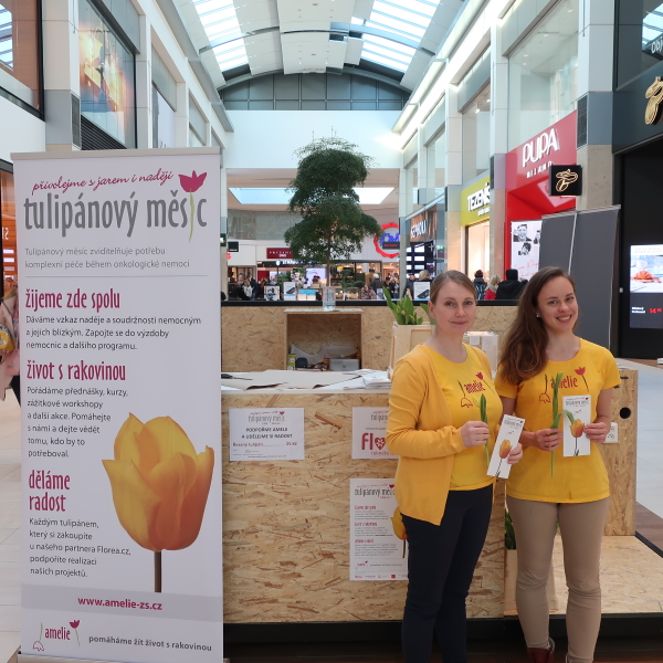 Prodej tulipánů v OC Metropole Zličín Prodej tulipánů v OC Metropole Zličín